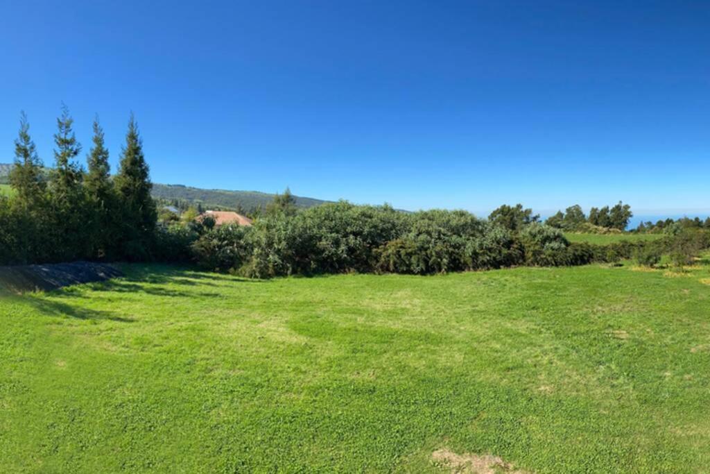 Agreable Chalet Au Milieu Des Sapins La Plaine des Cafres Dış mekan fotoğraf
